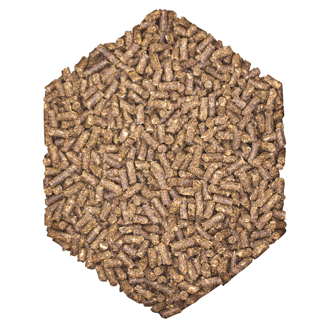 WES Basic Crunch Pellet 25 kg