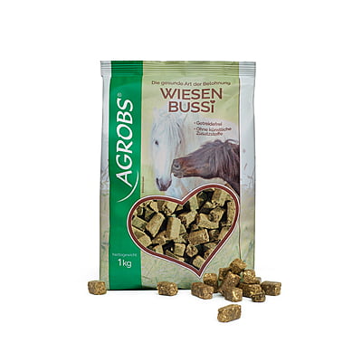 Wiesenbussi Wiesenbussi